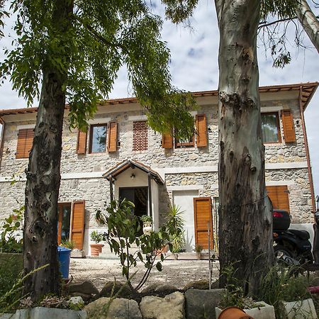 Locanda Villa Naumanni ตาร์กวิเนีย ภายนอก รูปภาพ