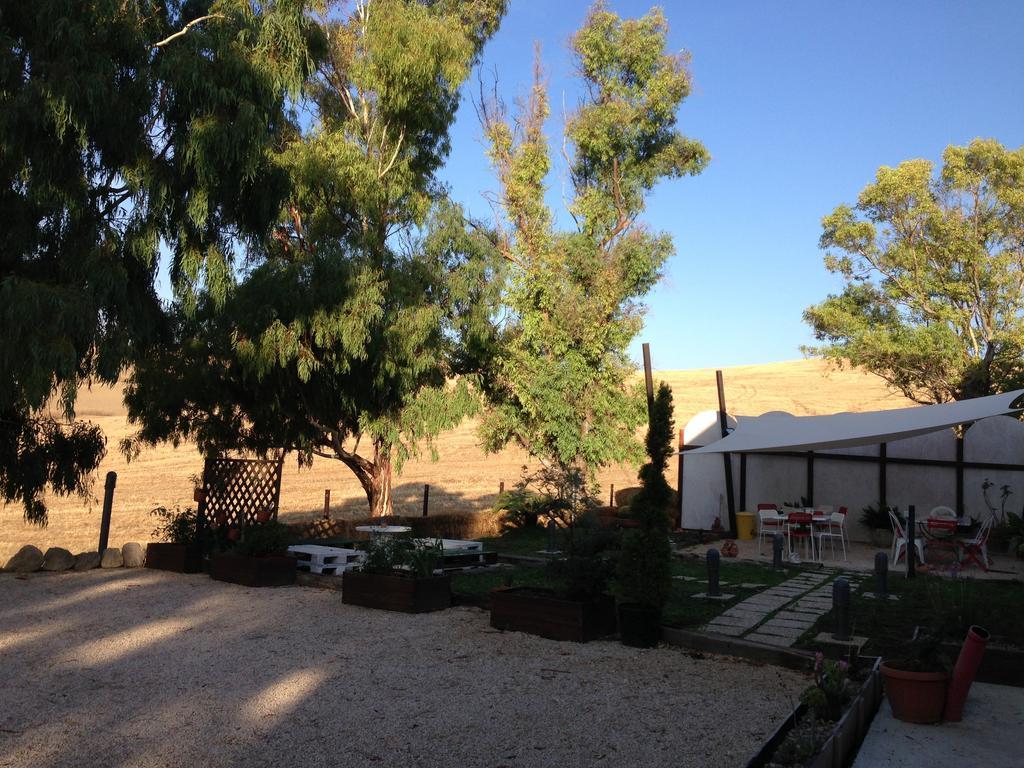Locanda Villa Naumanni ตาร์กวิเนีย ภายนอก รูปภาพ