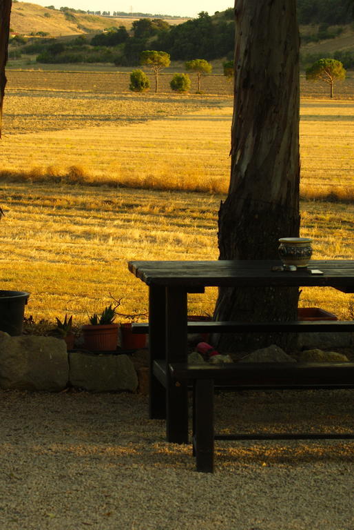 Locanda Villa Naumanni ตาร์กวิเนีย ภายนอก รูปภาพ
